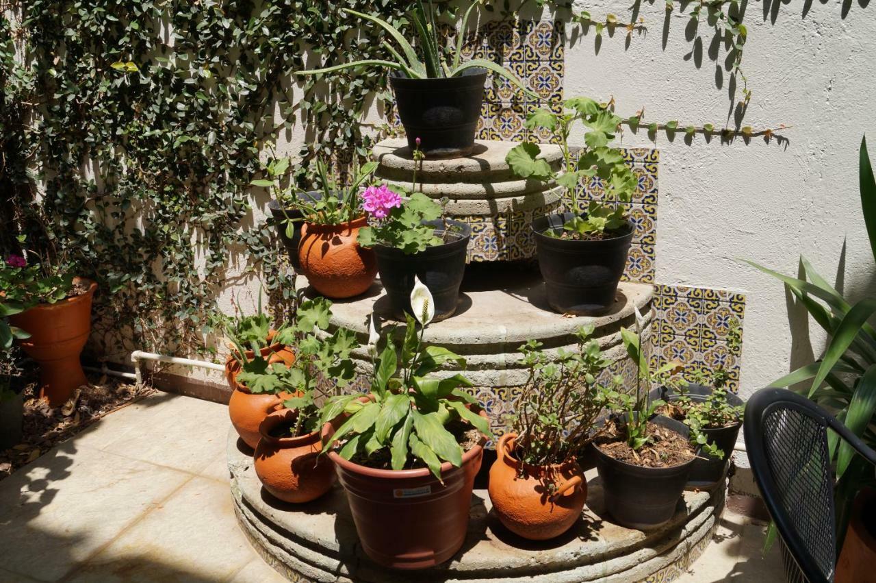 Hostal De Las Americas Oaxaca Exteriér fotografie